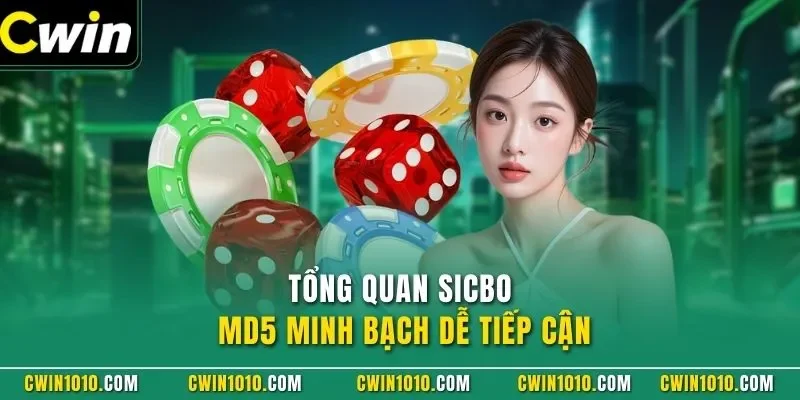 Tổng quan sicbo tài phú MD5 CWIN minh bạch dễ tiếp cận
